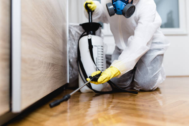 Best Affordable Pest Control Services  in Knob Noster, MO