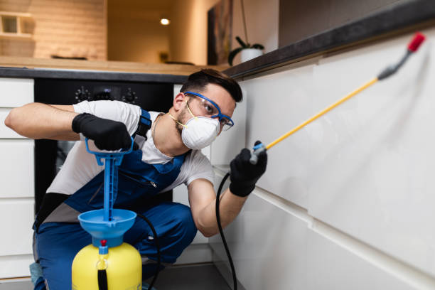 Best Flea Control Services  in Knob Noster, MO