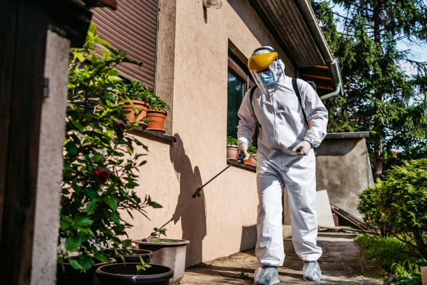 Best Insect Control  in Knob Noster, MO