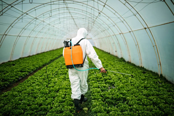 Best Pest Inspection Near Me  in Knob Noster, MO
