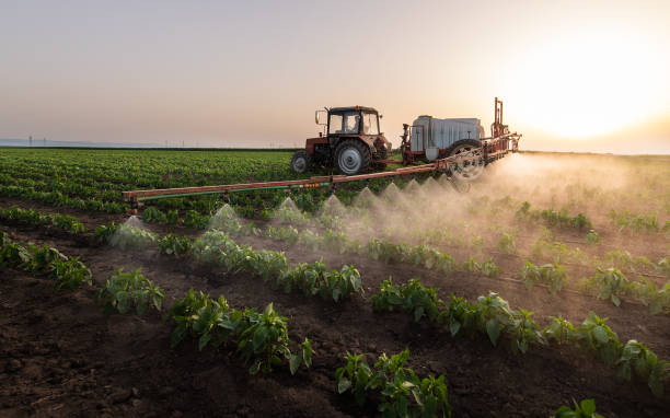 Best Pest Control for Businesses  in Knob Noster, MO