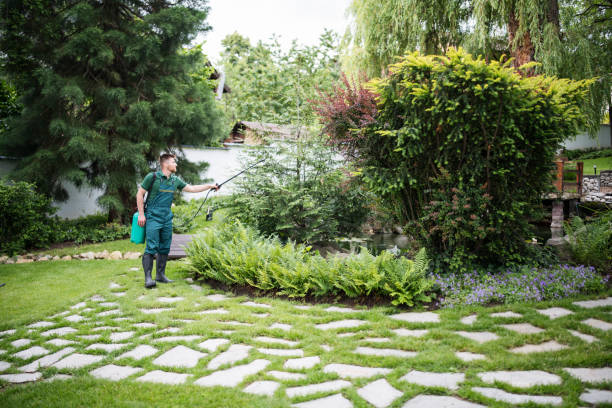 Best Mosquito Control Services  in Knob Noster, MO