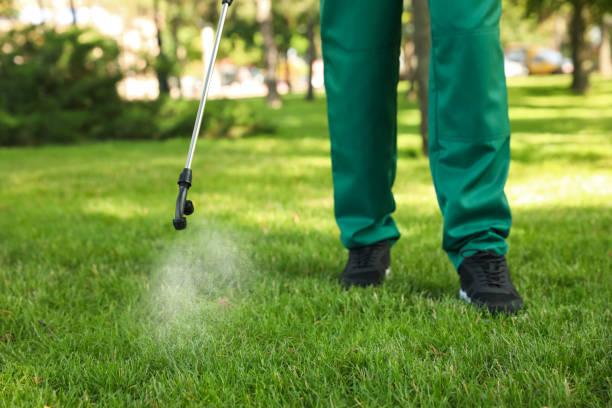 Best Wasp Removal Services  in Knob Noster, MO