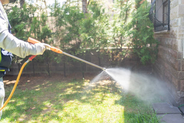 Best Pest Removal Services  in Knob Noster, MO