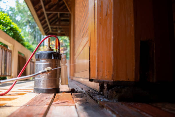 Best Pest Control Cost  in Knob Noster, MO