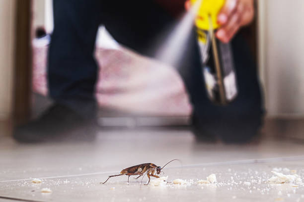 Best Residential Pest Control  in Knob Noster, MO