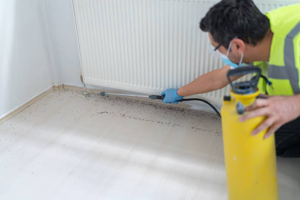 Best Affordable Pest Control Services  in Knob Noster, MO